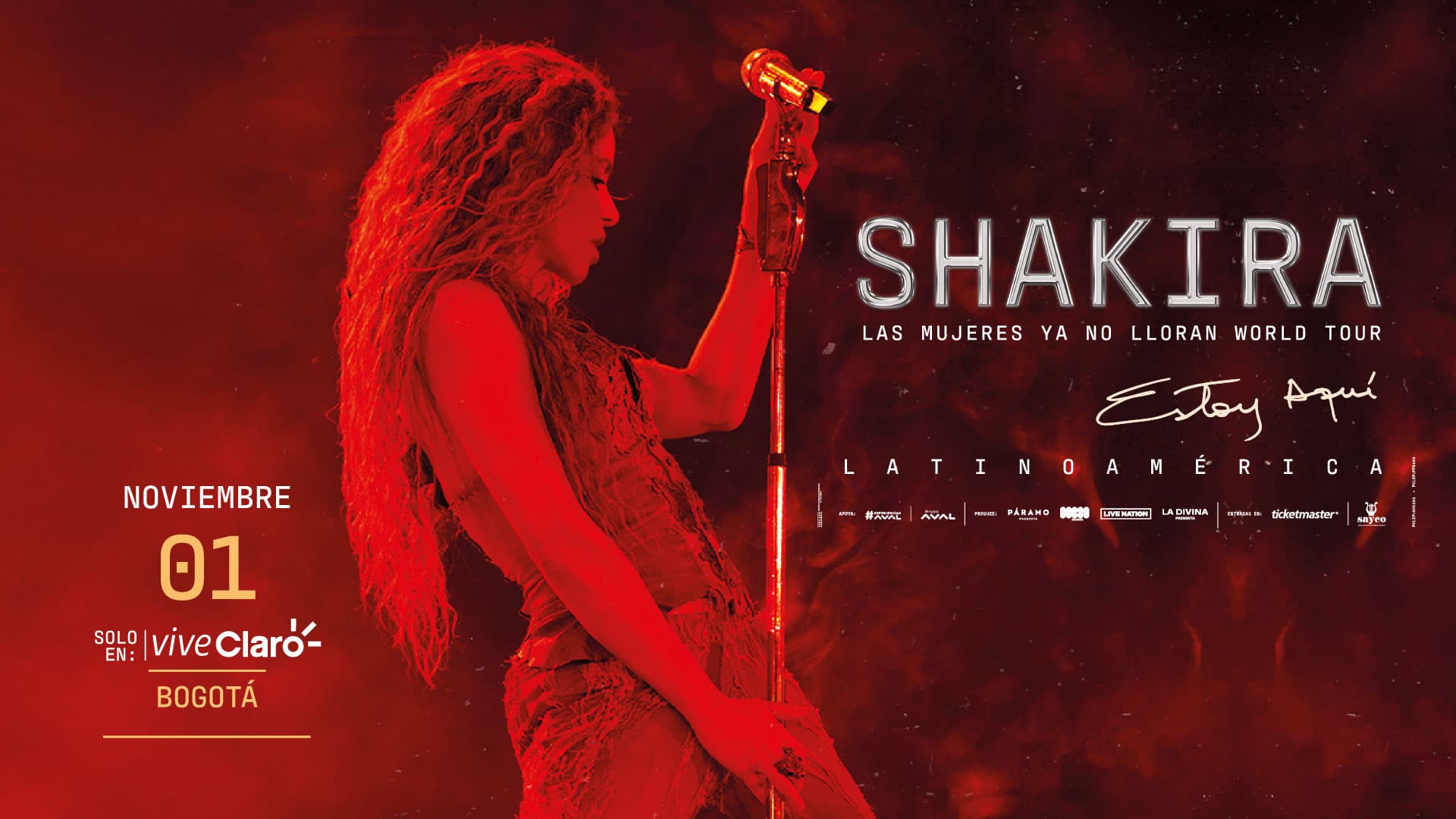 Shakira Banner