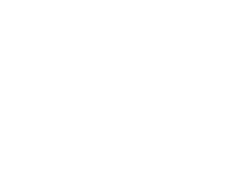 Dalizcami