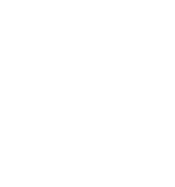 Armadillo