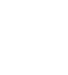 Ele